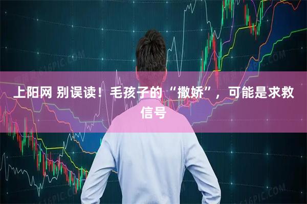 上阳网 别误读！毛孩子的 “撒娇”，可能是求救信号