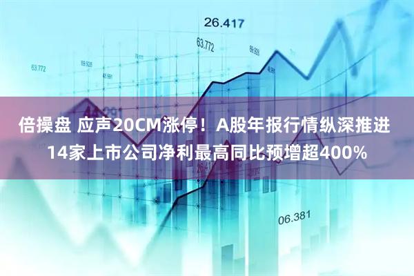 倍操盘 应声20CM涨停！A股年报行情纵深推进 14家上市公司净利最高同比预增超400%
